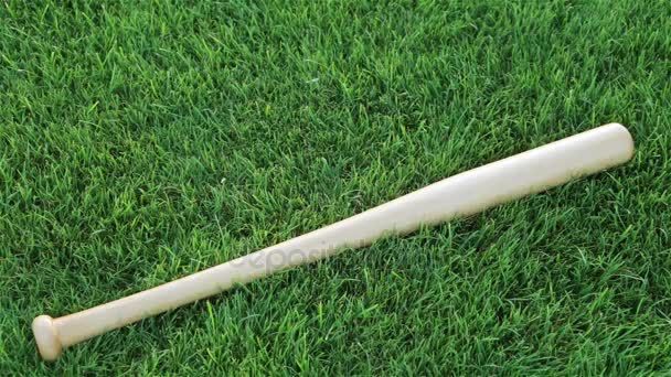 Bate de béisbol y pelota sobre hierba verde — Vídeos de Stock