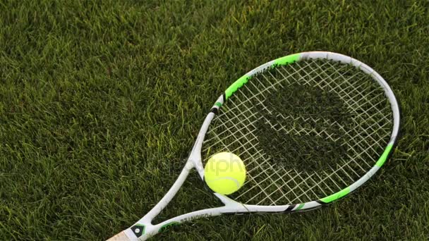 Tennisracket en bal op het gras — Stockvideo