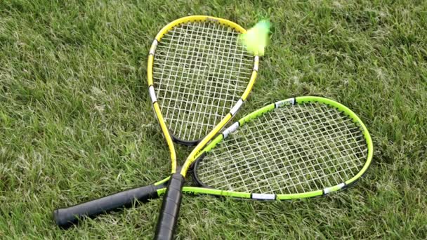 Badminton na trawie. Badminton Rakiety na zielonej trawie. — Wideo stockowe