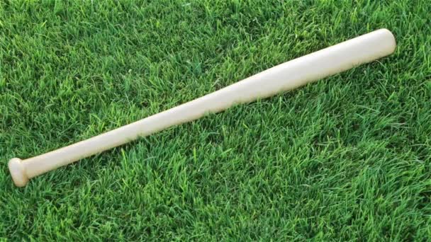 Un bate de béisbol en la hierba . — Vídeos de Stock