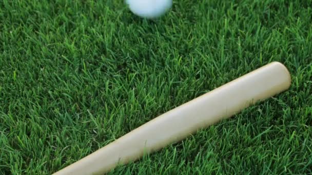 Basebollträ och boll på gräset. Baseball, sport, bat. — Stockvideo