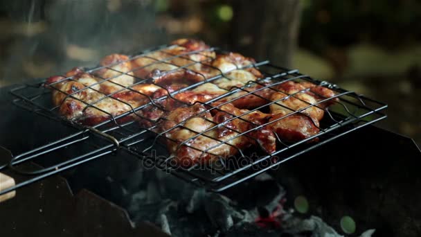 Gebratene Chicken Wings auf den Kohlen. Picknick, Grillen, Grillen. — Stockvideo