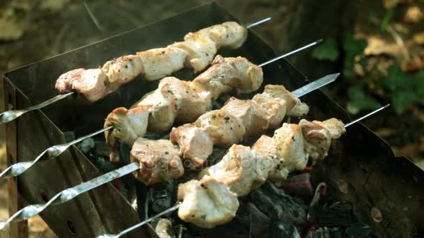 Shish kebab på grillen. Stekt kjøtt på kull . – stockvideo