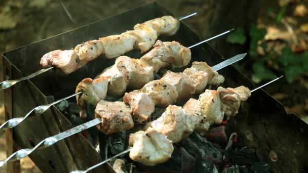 Shish kebab på grillen. Stegt kød på kul . – Stock-video