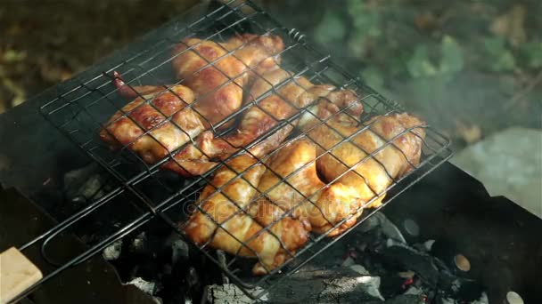 Gebakken kippenvleugels op de kolen. Picknick, barbecue, grill. — Stockvideo