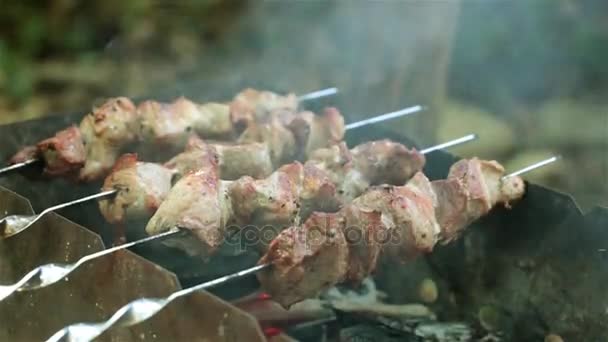 Fried meat on coals. Shish kebab, barbecue on the grill. — Stock Video
