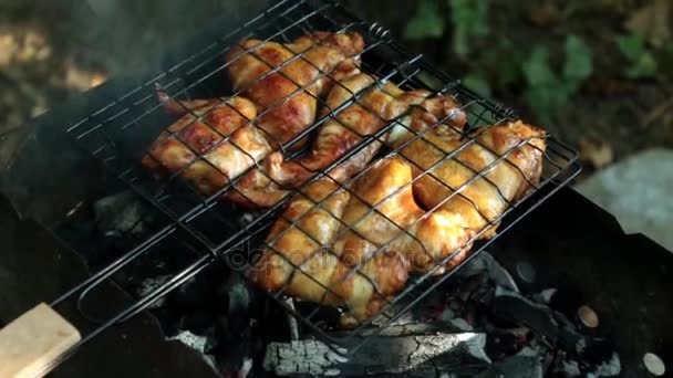 Le ali di pollo sono arrostite sui carboni . — Video Stock