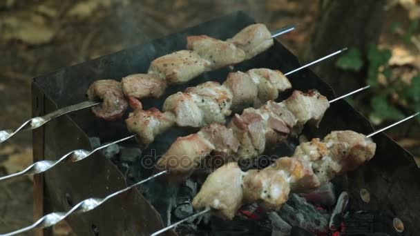 Carne frita em brasas . — Vídeo de Stock