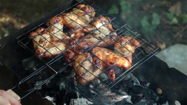 Piknik, Barbekü, ızgara. Kızarmış tavuk kanadı kömürlerin üzerinde. — Stok video