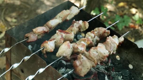 Літній пікнік та шашлик. М'ясо на вугіллі . — стокове відео