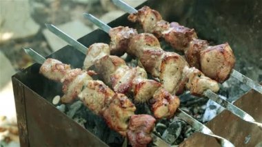 Kömürlerin üzerinde kızarmış et. Yaz piknik ve şiş kebap.