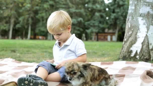 Uma criança e um cão estão sentados em um cobertor no parque. Um menino está jogando em um smartphone na natureza . — Vídeo de Stock