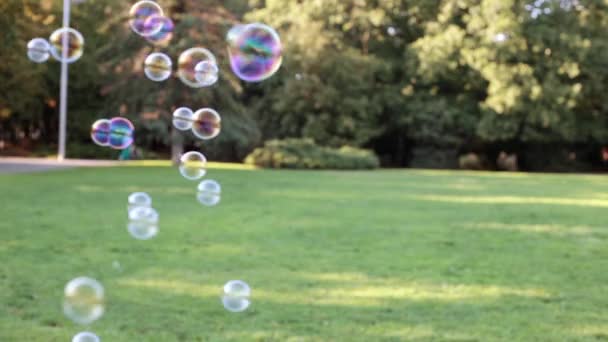 De belles bulles de savon volent. Les bulles de savon volent dans le contexte de la nature . — Video