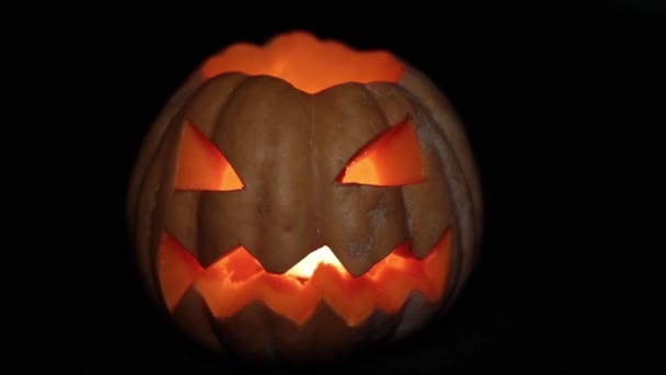 Halloween navideño, calabaza malvada alegre. Día de Todos los Santos. Gato de calabaza brillante . — Vídeo de stock