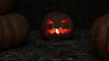 Tatil Cadılar Bayramı ve kabak Jack. Tüm azizler günü, balkabağı fener.