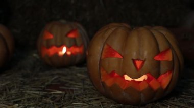 Tatil Cadılar Bayramı ve kabak Jack.