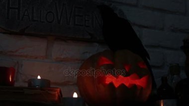 Tatil Cadılar Bayramı ve kabak Jack.