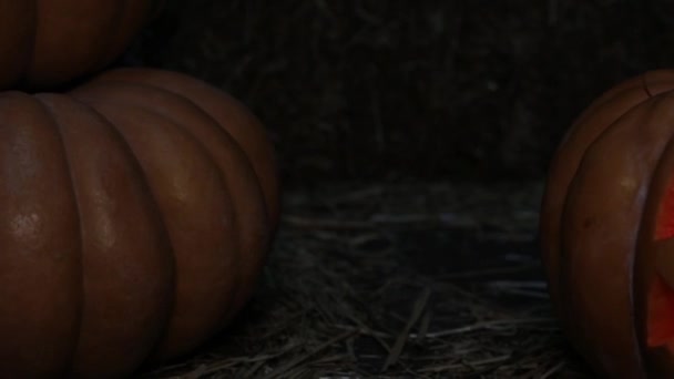 Día de los Santos, linterna de calabaza. Halloween de vacaciones y calabaza Jack . — Vídeo de stock