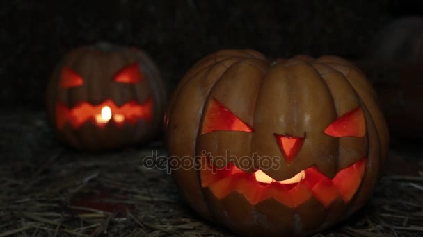 Dia de Todos os Santos, Lanterna de Abóbora. Feriado Halloween e abóbora Jack . — Vídeo de Stock