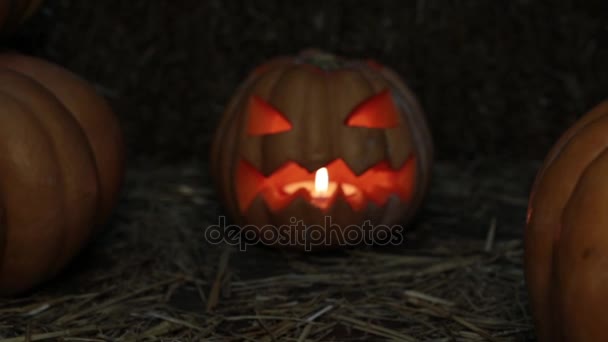 Feriado Halloween e abóbora Jack. Dia de Todos os Santos, Lanterna de Abóbora . — Vídeo de Stock