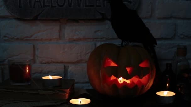Allehelgensdag, græskar Lanterne. Ferie Halloween og græskar Jack . – Stock-video