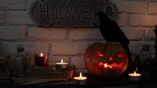 All Saints Day, Pumpkin Lantern. Holiday Halloween and pumpkin Jack. — Stock Video