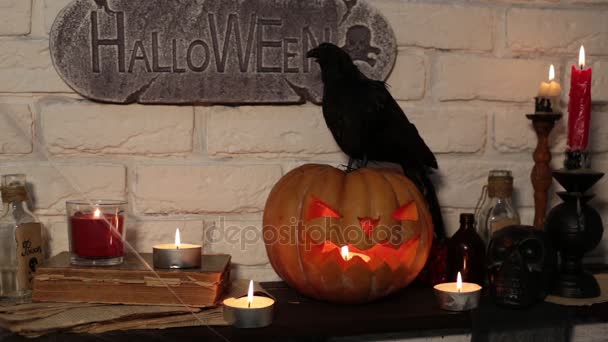 Vacanza Halloween e Jack di zucca . — Video Stock