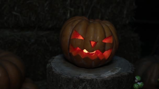 Halloween ünnep és Mindenszentek. Sütőtök Jack égő lámpa. — Stock videók