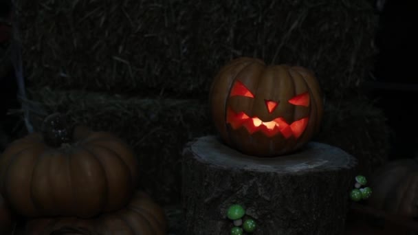 Feiertag Halloween und Allerheiligen. Kürbiskerze brennt Laterne. — Stockvideo