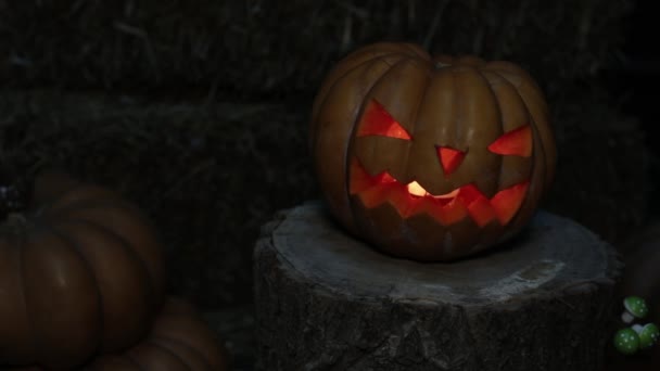 Skrämmande lysande pumpa Jack. Halloween och alla helgons dag. — Stockvideo