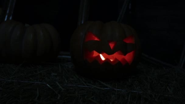 Halloween ünnep és Mindenszentek. Sütőtök Jack égő lámpa. — Stock videók