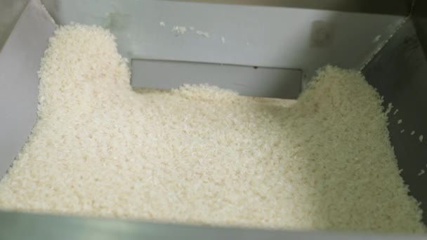 Fábrica de arroz. Transportador para embalagem de arroz e cereais. — Vídeo de Stock