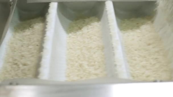 Pirinç fabrikası. Temizlik ve pirinç üretimi. — Stok video