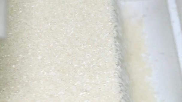 Очистка и производство риса. Рисовая фабрика. Конвейер для упаковки риса и зерновых. — стоковое видео