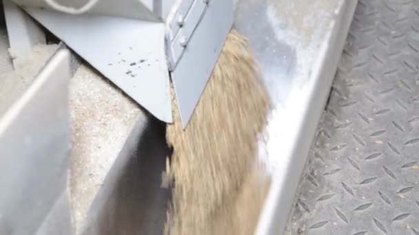 Fábrica de arroz. Mecanismo de limpeza do arroz e dos cereais . — Vídeo de Stock