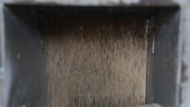 Fábrica de arroz. Mecanismo de limpieza de arroz y cereales . — Vídeos de Stock