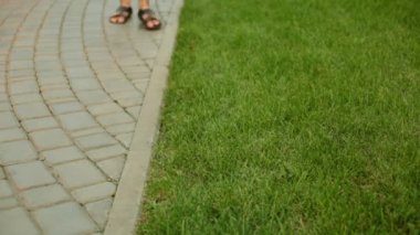 Bir çim üzerinde çöp adam. Bir kişi çöp sokağa atar..