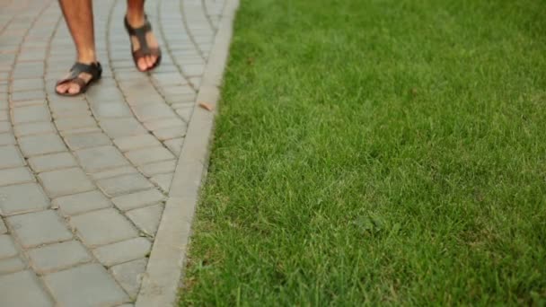 Eine Person wirft Müll auf die Straße. ein Mann, der auf einem Rasen streut. — Stockvideo