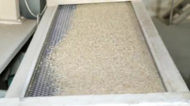 Pirinç fabrikası. Temizleme, pirinç ve tahıl eleme mekanizması.