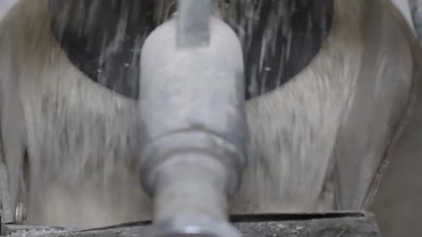 米工場。米と穀物をふるい、洗浄のメカニズム. — ストック動画