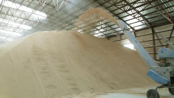 Fazenda de arroz, agricultura. A combinação derrama grãos no armazém . — Vídeo de Stock
