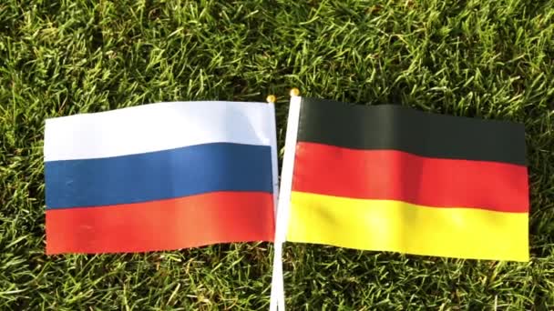 Flags of Russia and Germany on green grass. — Stock Video