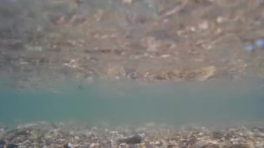 Sualtı video çekim eylem fotoğraf makinesi. Gelgit, deniz sörf, su altında deniz kıyısında. Deniz alt ve dalgalar.