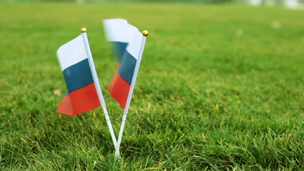 Flaggen des russischen Verbandes auf grünem Rasen und ein Fußballball. Flagge von Russland und Fußball. — Stockvideo