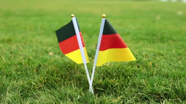 Флаг Германии на траве. Флаги Германии на зеленой лужайке . — стоковое видео