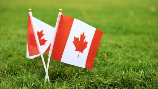 Flagge Kanadas auf grünem Gras. Kanadische Flagge auf dem Rasen. — Stockvideo
