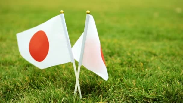 Japán zászlaja zöld füvön. Japán zászló a gyepen. — Stock videók