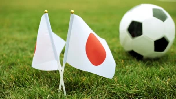 Japanische Flaggen und Fußball. Flagge Japans vor dem Hintergrund eines Fußballs auf dem Rasen. — Stockvideo