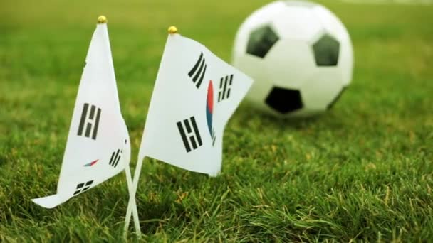 Lijst van vlaggen van Zuid-Korea en een voetbal op het gras. — Stockvideo