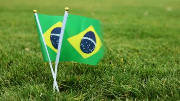 Bandera de Brasil en la hierba verde. bandera de Brasil ondea en el viento . — Vídeos de Stock